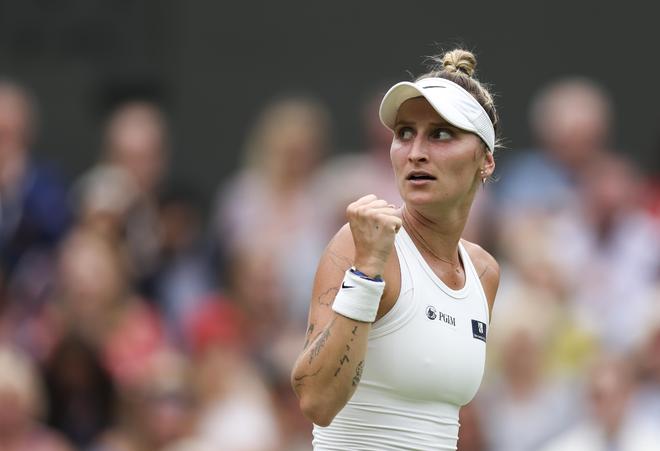 公牛的冠军 公牛的冠军