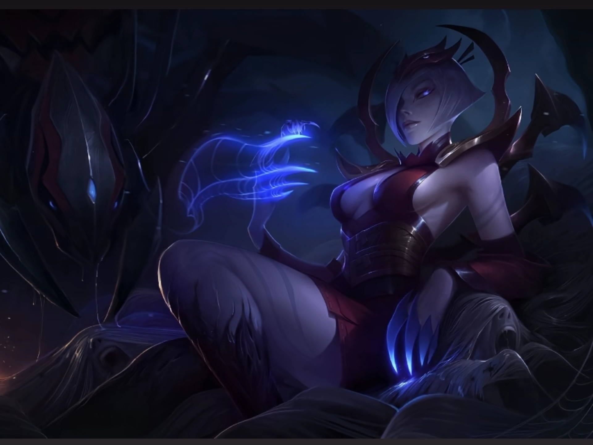 公牛的冠军 公牛的冠军