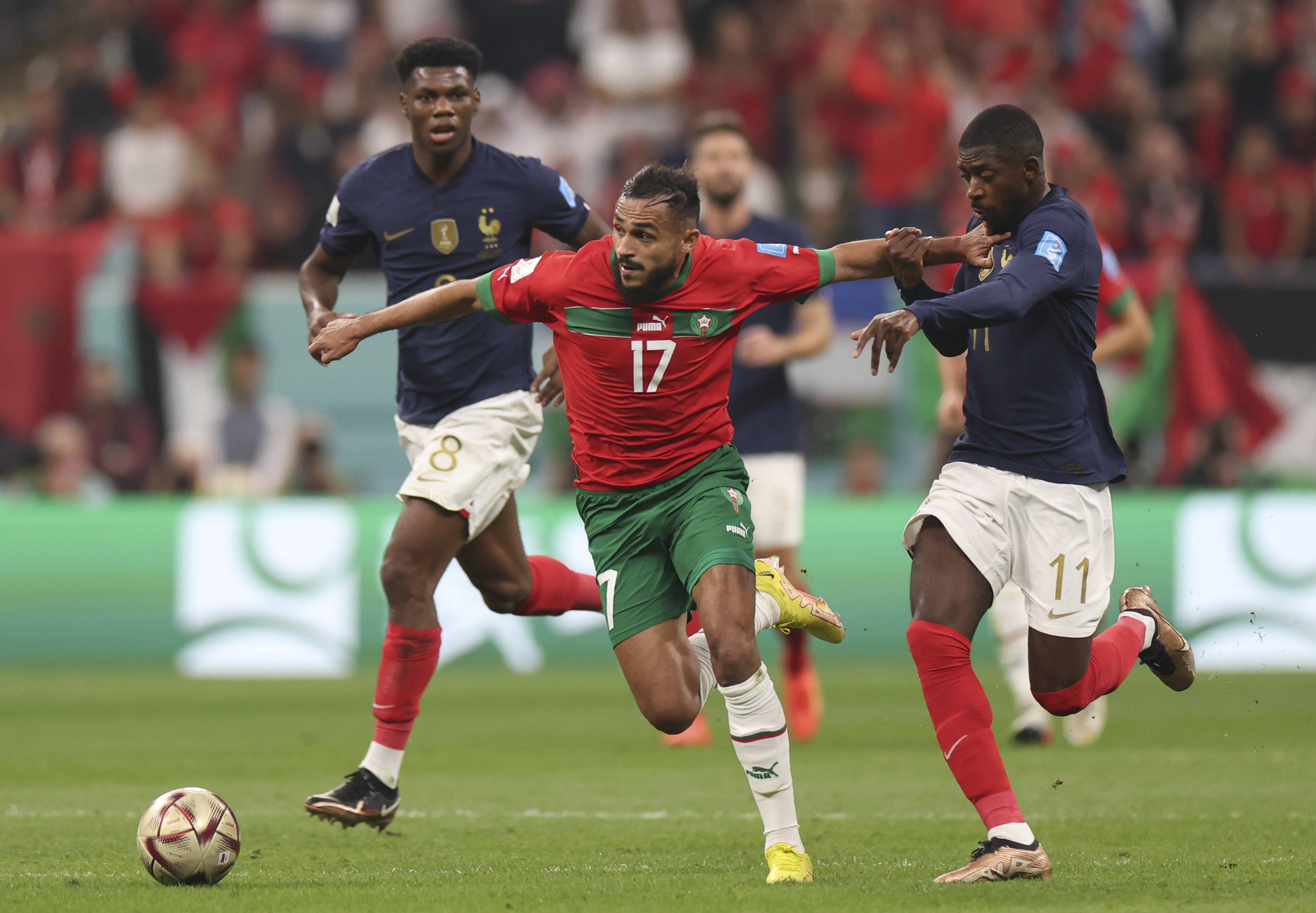 曾效力于国 曾效力于国