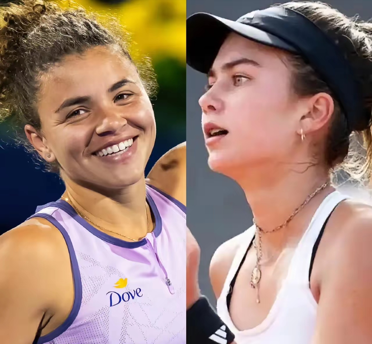 风险提示 风险提示