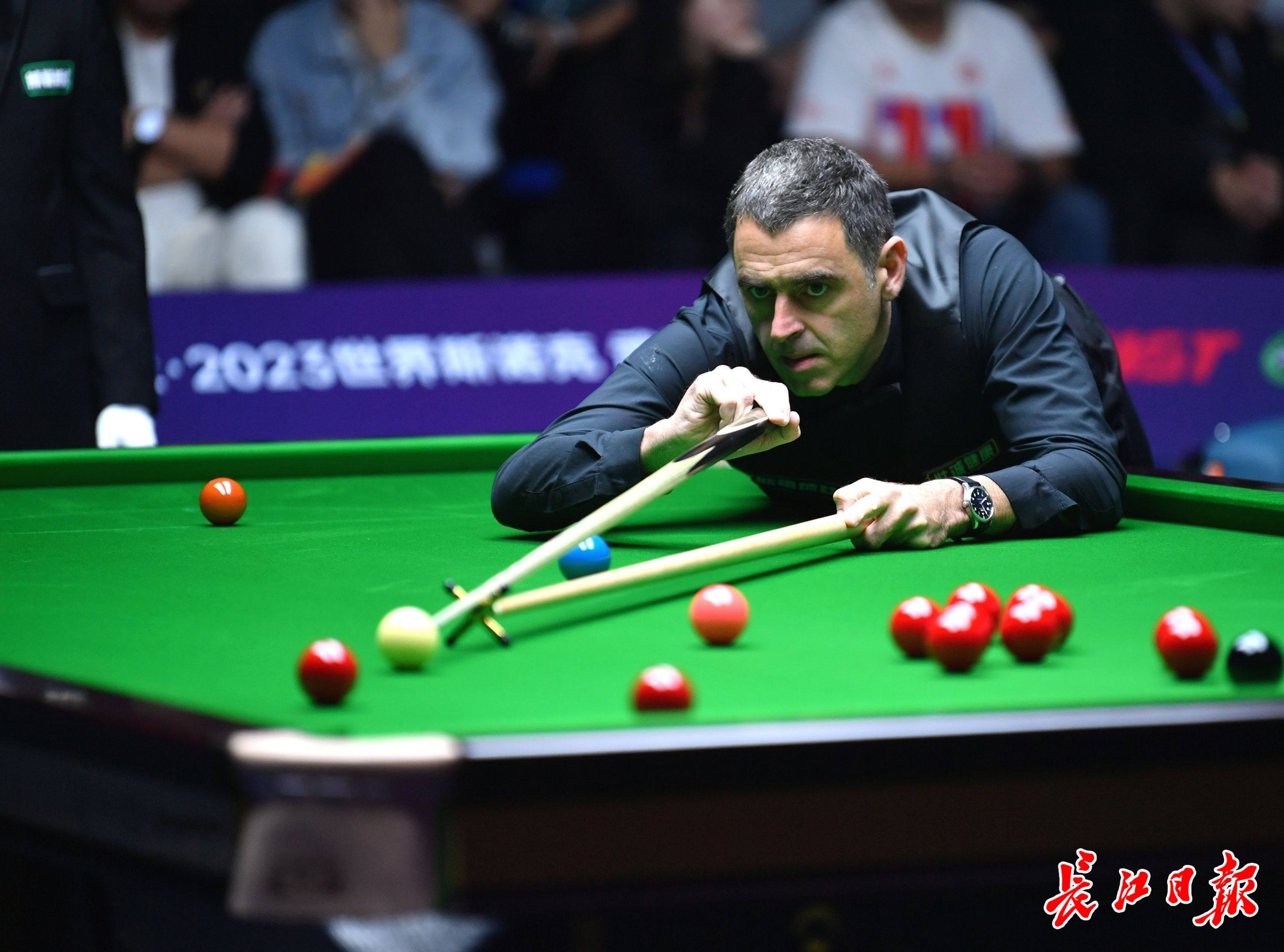 才能在投资 才能在投资