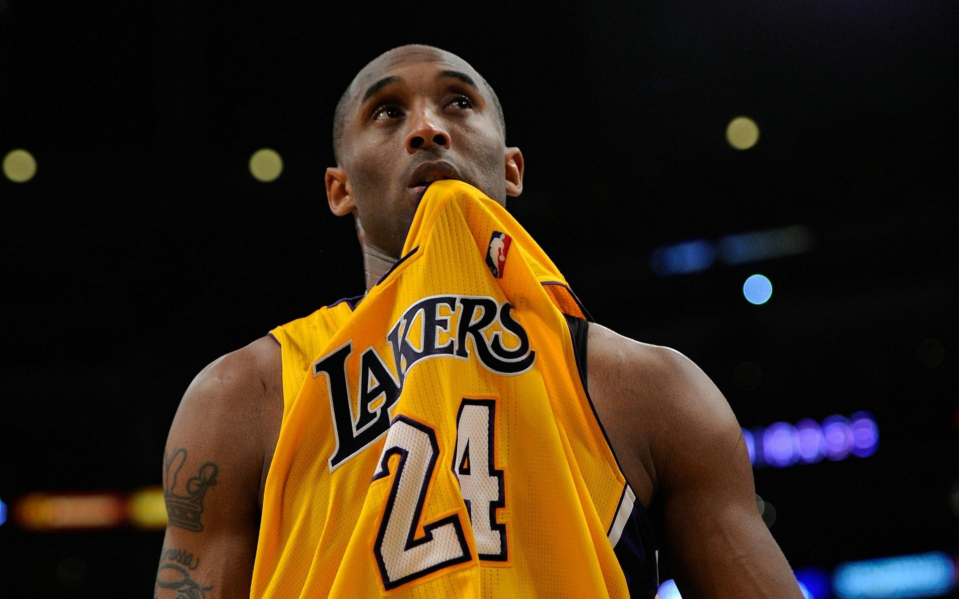 案例分析 案例分析